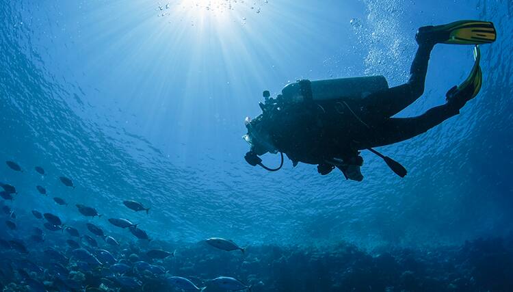 Ein Taucher unter Wasser.