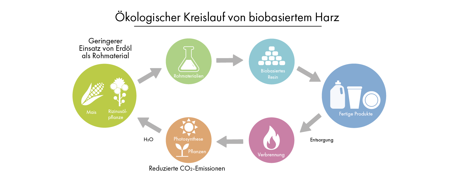 Darstellung des Kreislaufes von biobasiertem Resin von den Rohmaterialien Mais und Rizinussamen, über die fertigen Produkte, bis zum Entsorgen und Nachwachsen neuer Rohmaterialien.