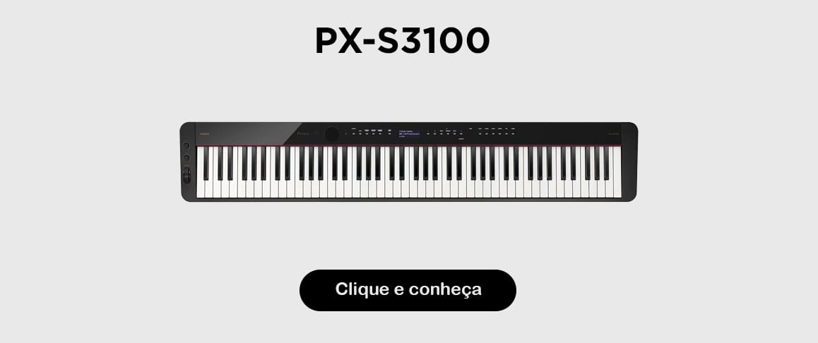 PX-S3100BK