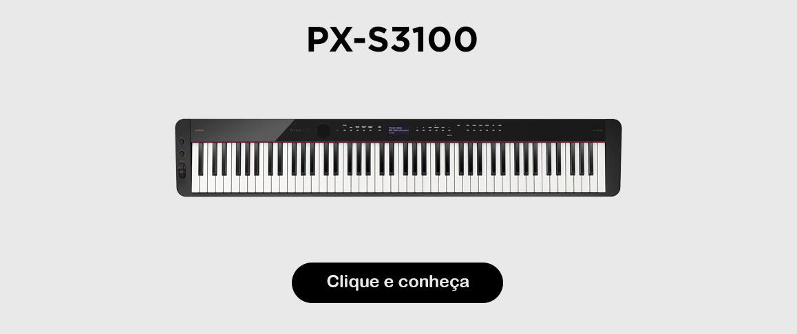 PX-S3100