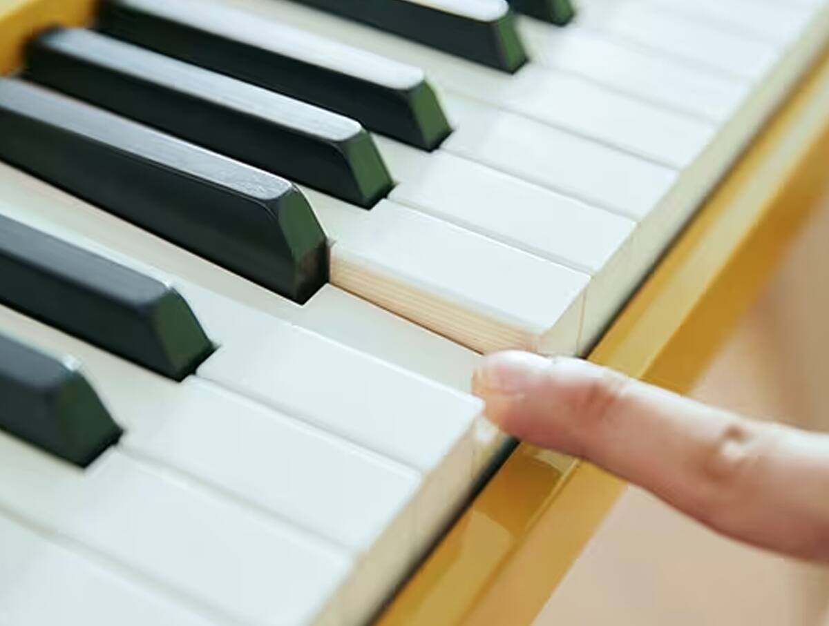 Apoie os participantes que enfrentam perguntas difíceis com uma calculadora científica!