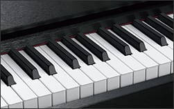 Piano Keys Piano Keys