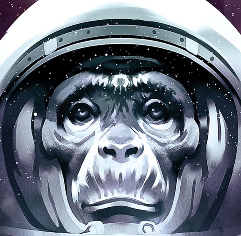 Grauer Affe mit Weltraumhelm 