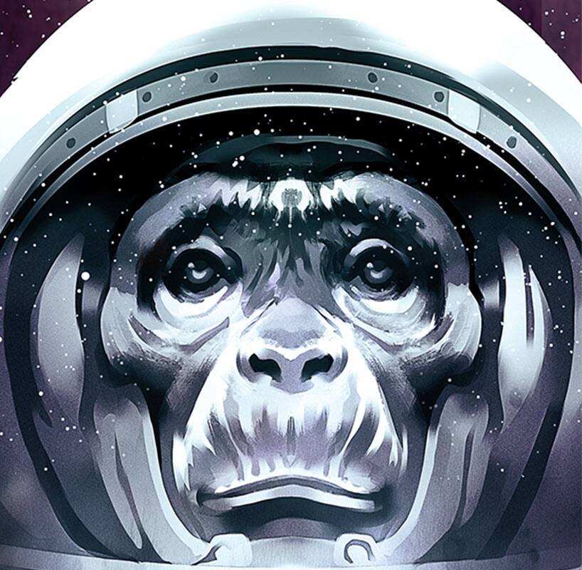 Grauer Affe mit Weltraumhelm 