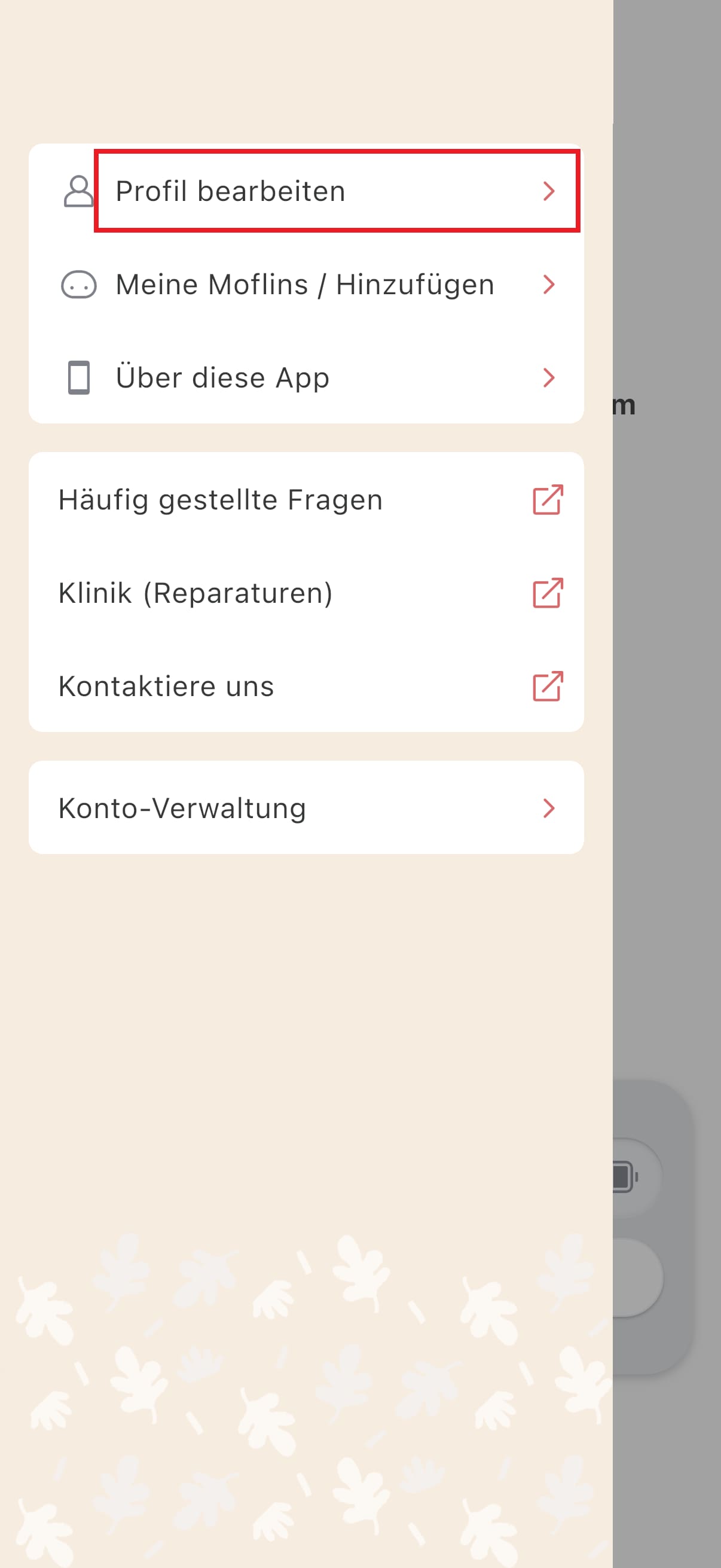 Screenshot der MofLife-App: Menü "Profil bearbeiten"