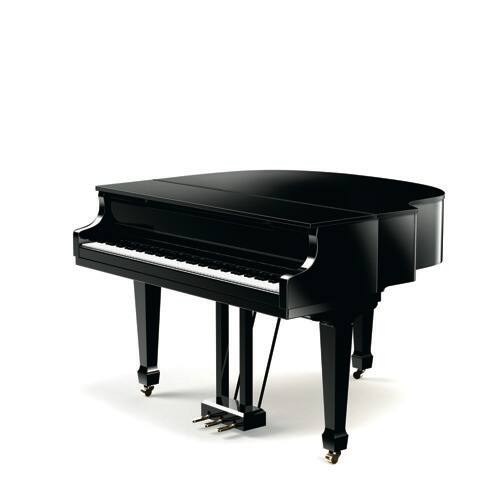 Un piano de cola de concierto con la tapa cerrada