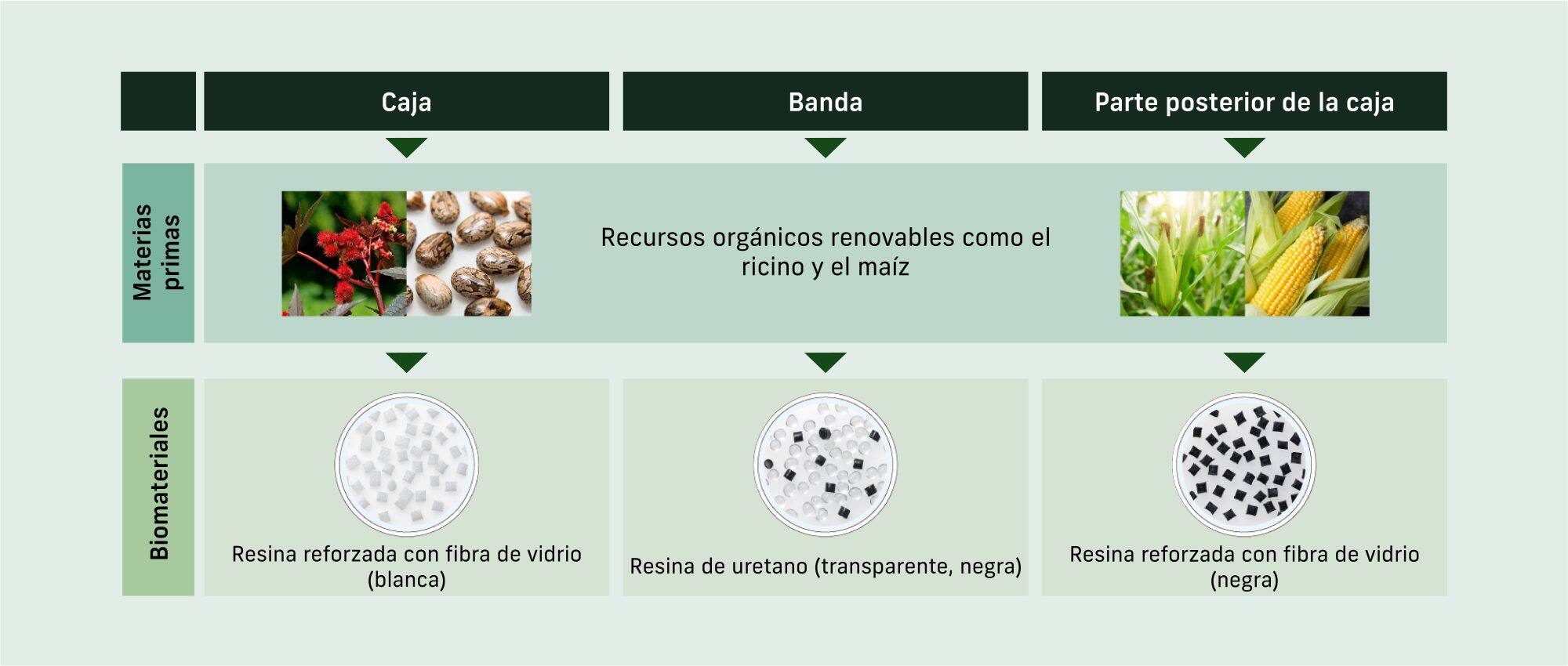 Ilustración aproximada de cómo se producen los biomateriales uretano y resina reforzada con fibra de vidrio para la caja y la correa de un reloj a partir de las materias primas maíz y semillas de ricino.