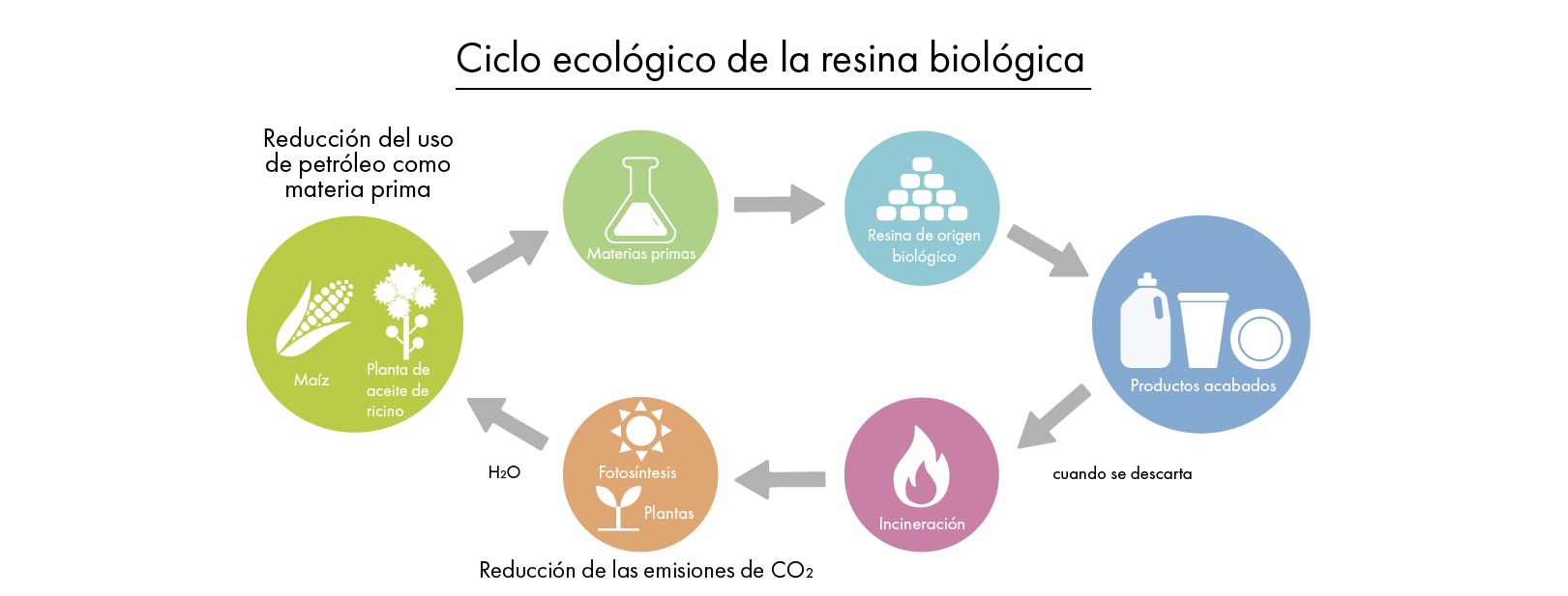 Ilustración del ciclo de la resina de origen biológico, desde las materias primas maíz y ricino, pasando por los productos acabados, hasta la eliminación y reaprovechamiento de nuevas materias primas.