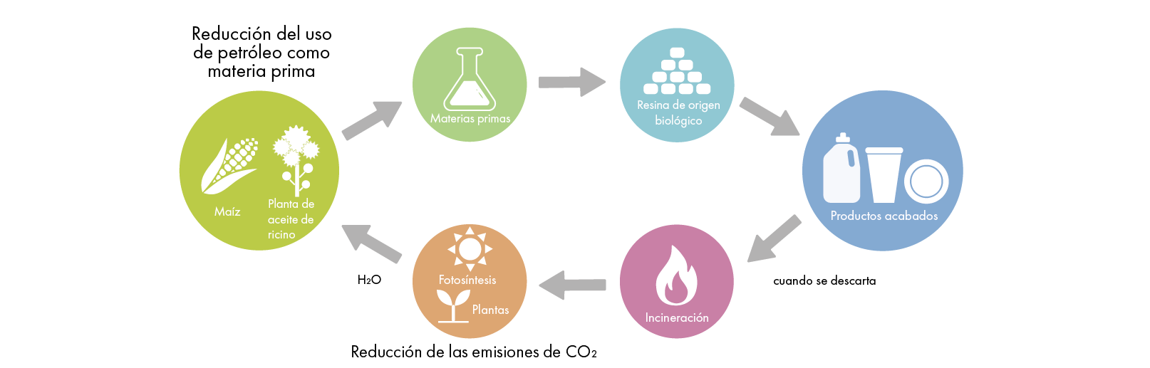 Ilustración del ciclo de la resina de origen biológico, desde las materias primas maíz y ricino, pasando por los productos acabados, hasta la eliminación y reaprovechamiento de nuevas materias primas.