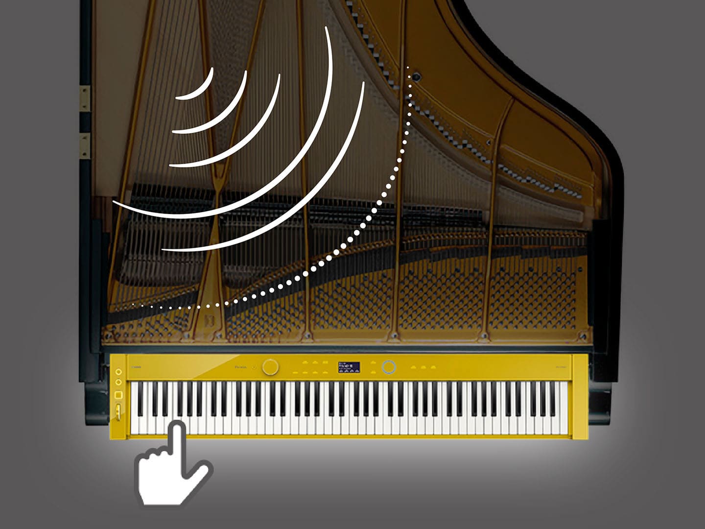 Illustration of the sound waves in a grand piano