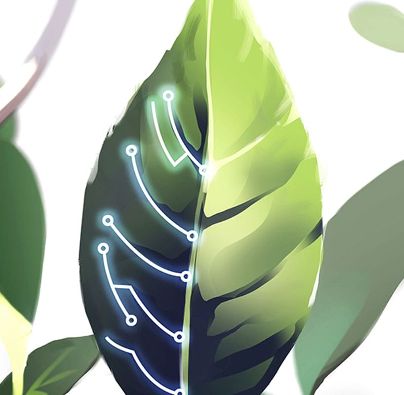 green leaf with electric lines