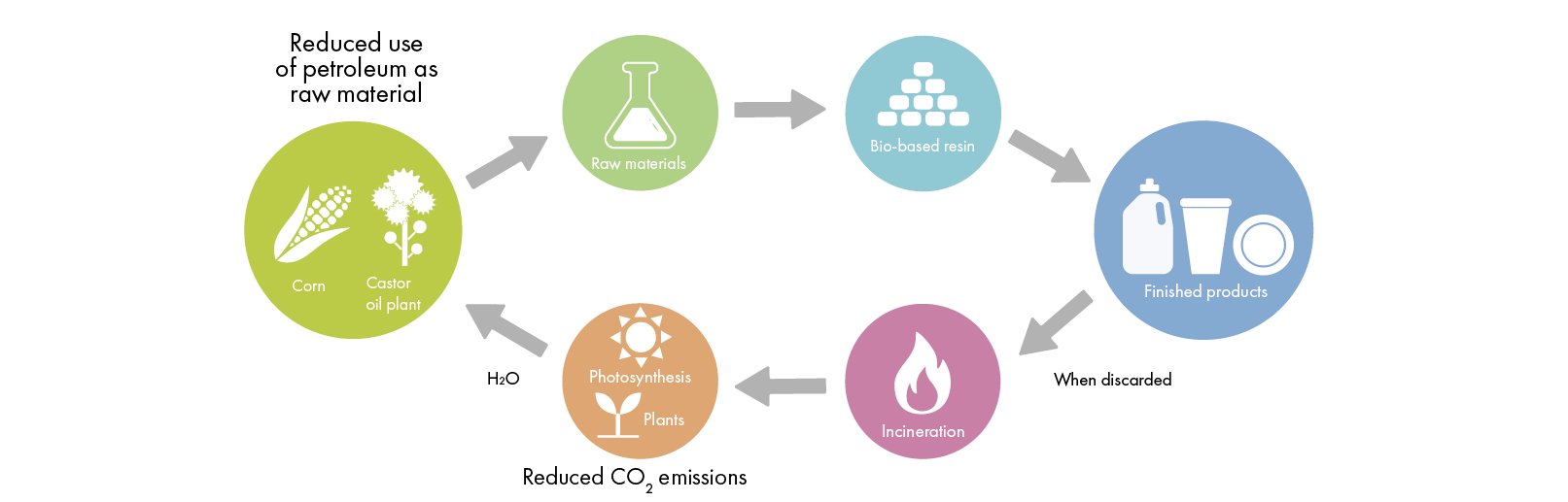 Illustration of the cycle of bio-based resin from the raw materials maize and castor bean, through the finished products, to the disposal and regrowth of new raw materials.