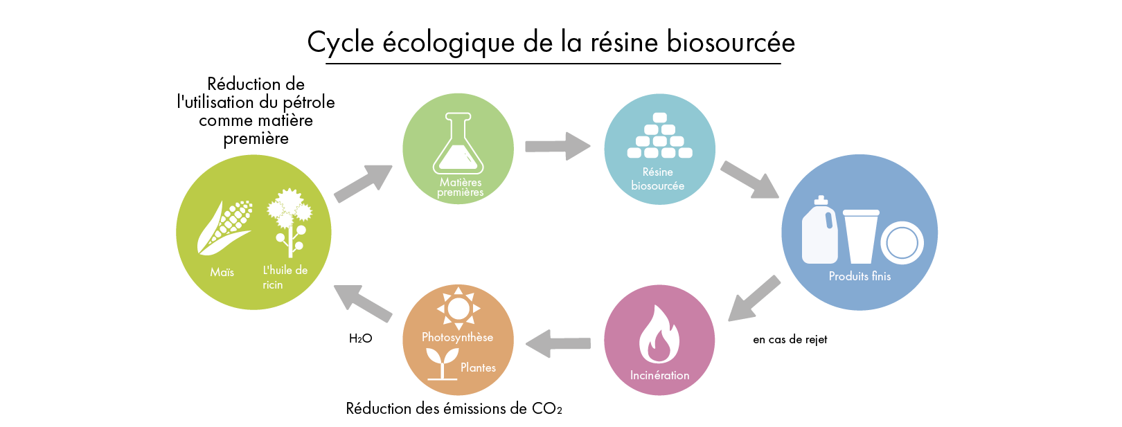 Illustration du cycle de la résine biosourcée, depuis les matières premières que sont le maïs et le ricin, en passant par les produits finis, jusqu'à l'élimination et la régénération de nouvelles matières premières.