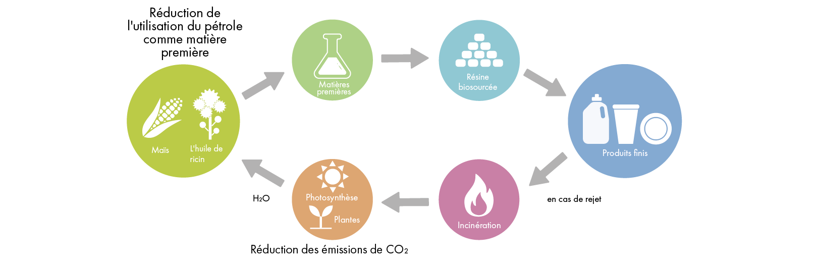 Illustration du cycle de la résine biosourcée, depuis les matières premières que sont le maïs et le ricin, en passant par les produits finis, jusqu'à l'élimination et la régénération de nouvelles matières premières.