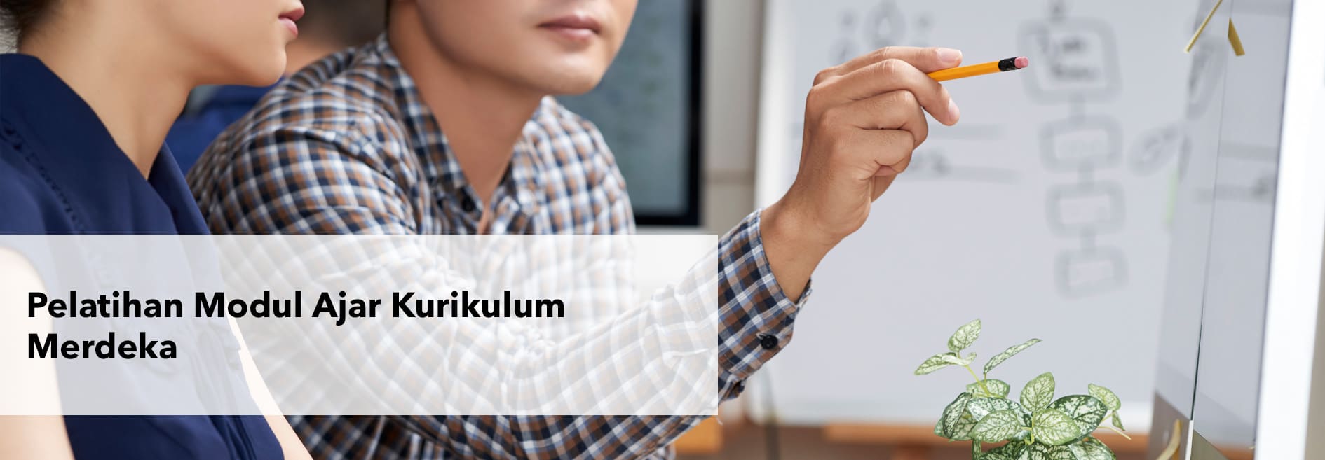 Training of integrated independent curriculum teaching modules