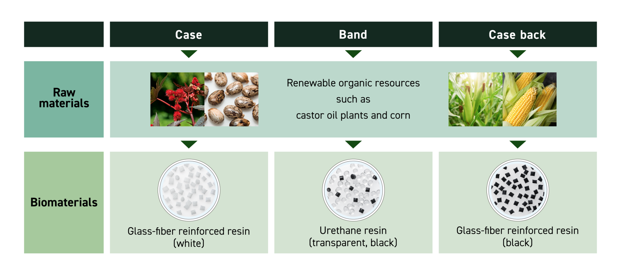 Bio-based resin