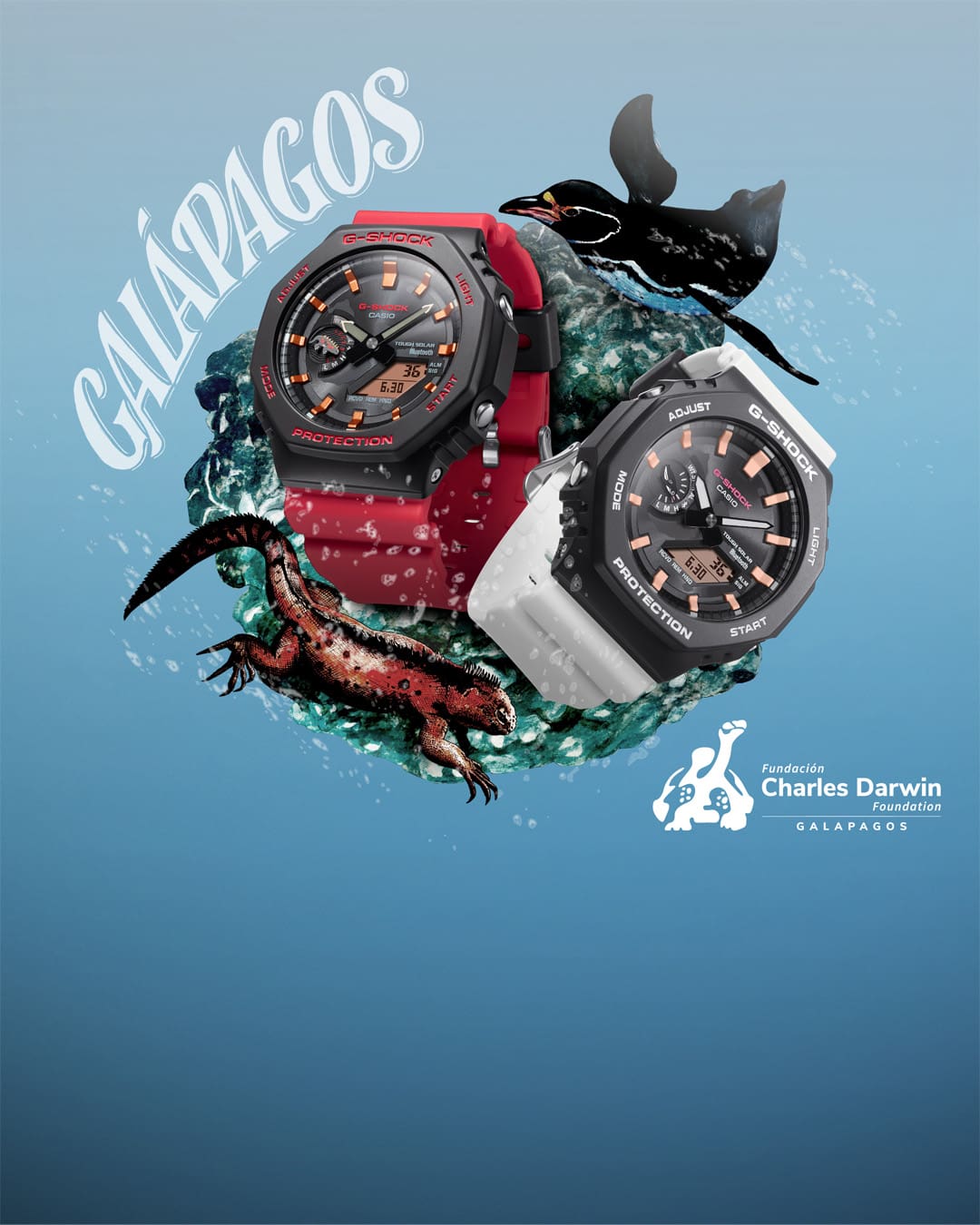 Collaboration watch Charles DarwinFoundation