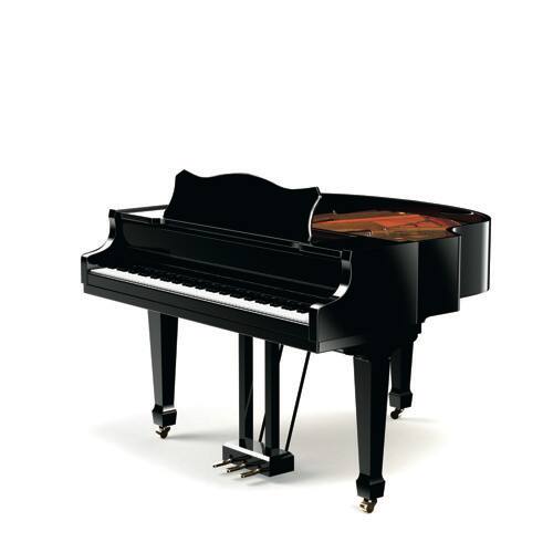Un pianoforte a coda da concerto senza coperchio