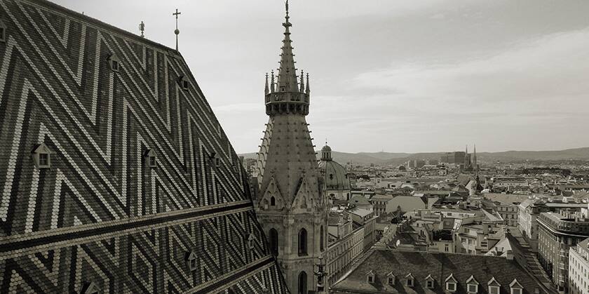 Foto in bianco e nero dei tetti di Vienna