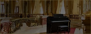 In una grande e lussuosa sala da concerto c'è un pianoforte scuro. L'immagine ti porta alla pagina Celviano Grand Hybrid Experience.