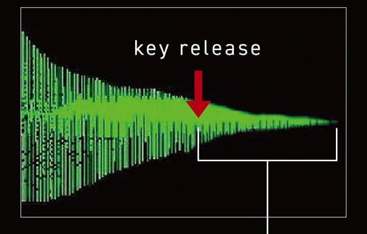 Due grafici che illustrano il comportamento di decadimento. Etichetta del grafico a sinistra: “Slow key release - Long lingering sounds”. Etichetta del grafico a destra: “Fast key release - Short lingering sounds”