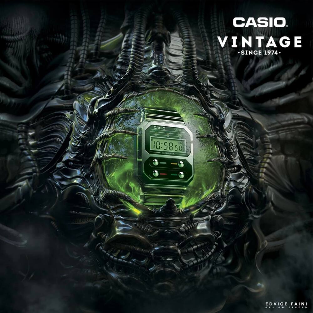 Illustrazioni realizzate de Edvige Faini