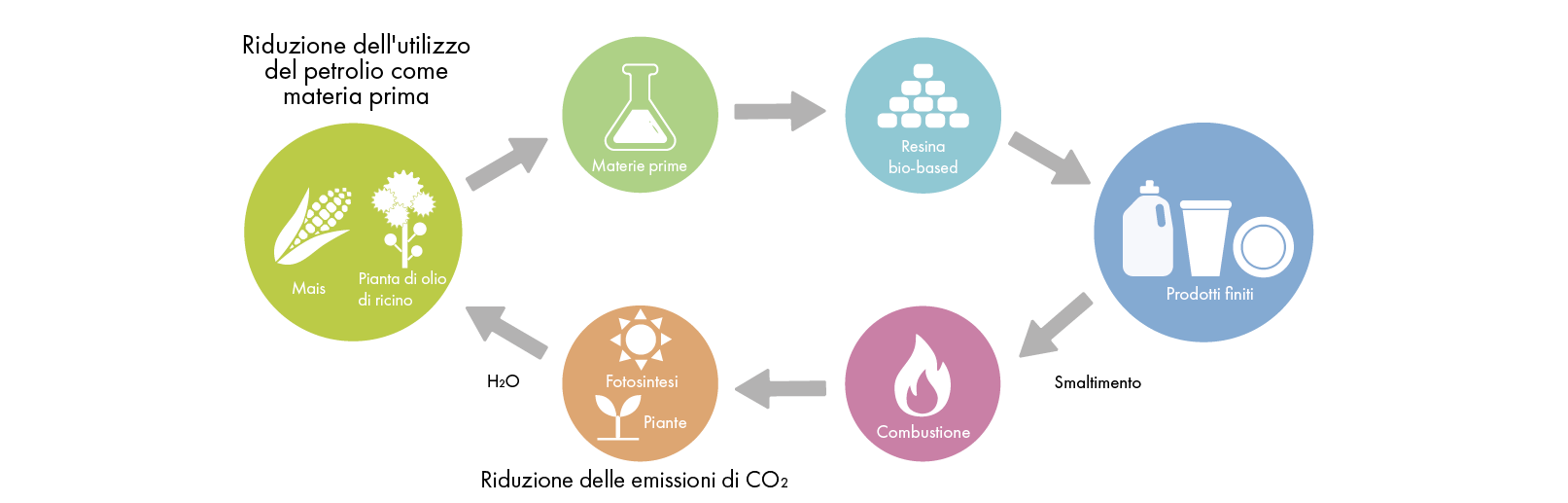 Immagine del ciclo della resina bio-based dalle materie prime mais e ricino, attraverso i prodotti finiti, fino allo smaltimento e alla nuova crescita di materie prime.