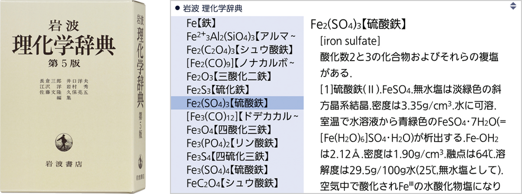 理化学事典