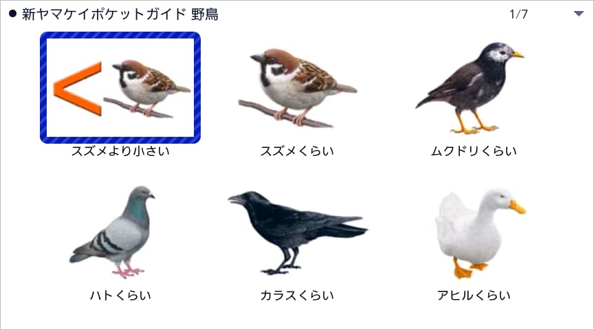 コンテンツ内のジャンルや項目を表示