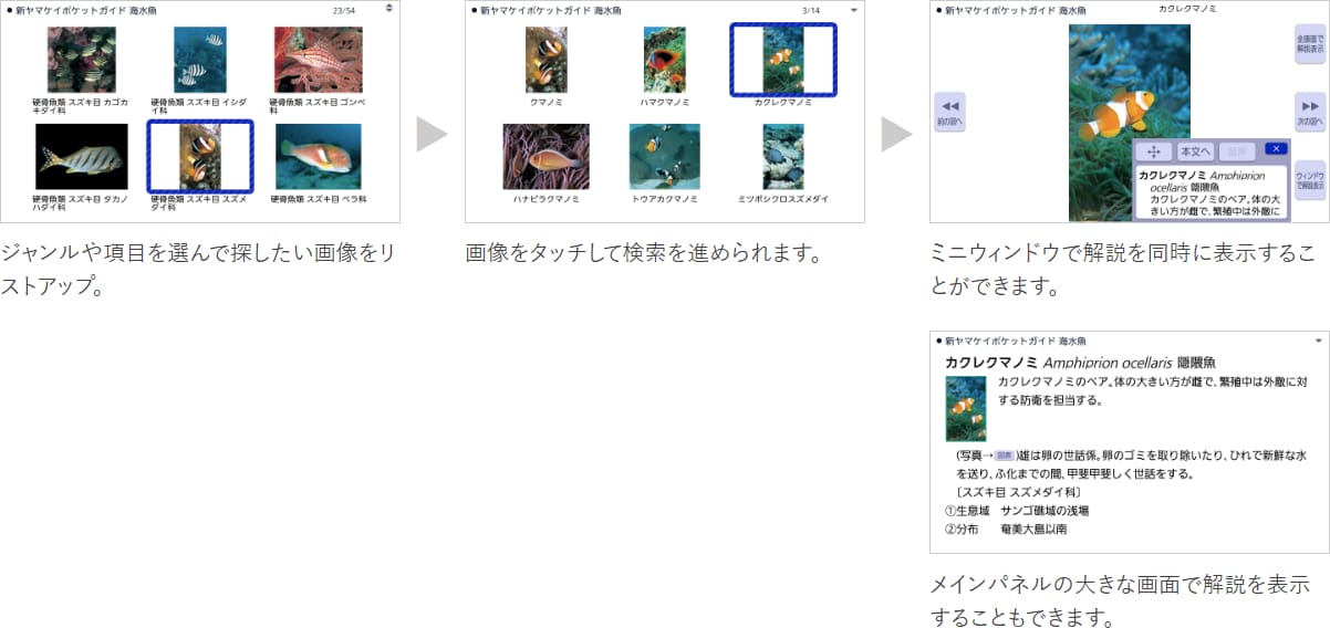 ジャンルや項目を選んで探したい画像をリストアップ→画像をタッチして検索を進められます。→ミニウィンドウで解説を同時に表示することができます。メインパネルの大きな画面で解説を表示することもできます。
