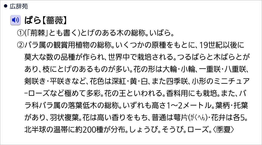 24ドット表示