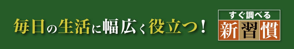 毎日の生活に幅広く役立つ！　［すぐ調べる新習慣］