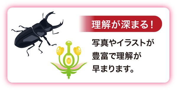 ［理解が深まる！］写真やイラストが豊富で理解が早まります。