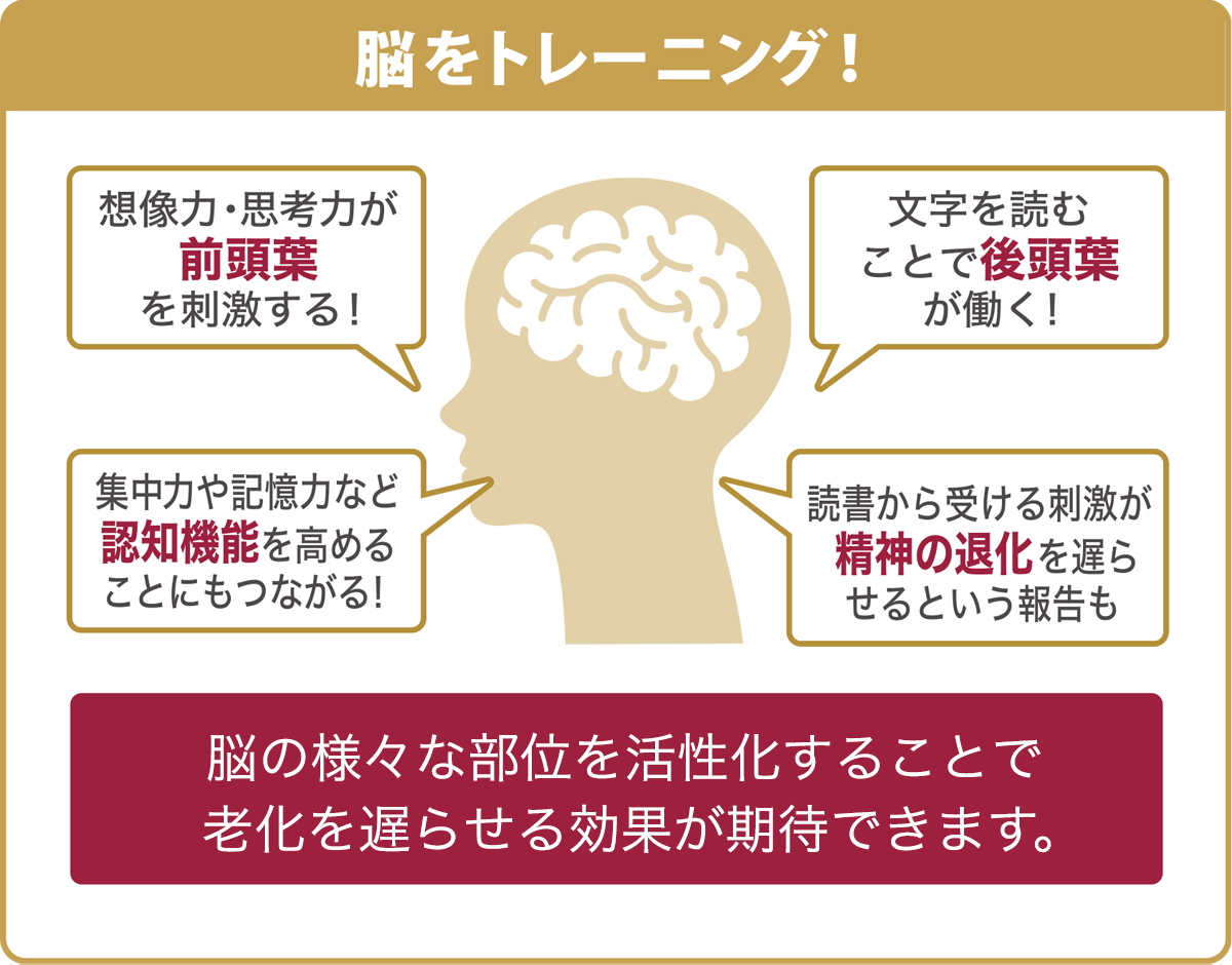 ＜脳をトレーニング！＞想像力・思考力が前頭葉を刺激する！　集中力や記憶力など認知機能を高めることにもつながる！　文字を読むことで後頭葉が働く！　読書から受ける刺激が精神の退化を遅らせるという報告も