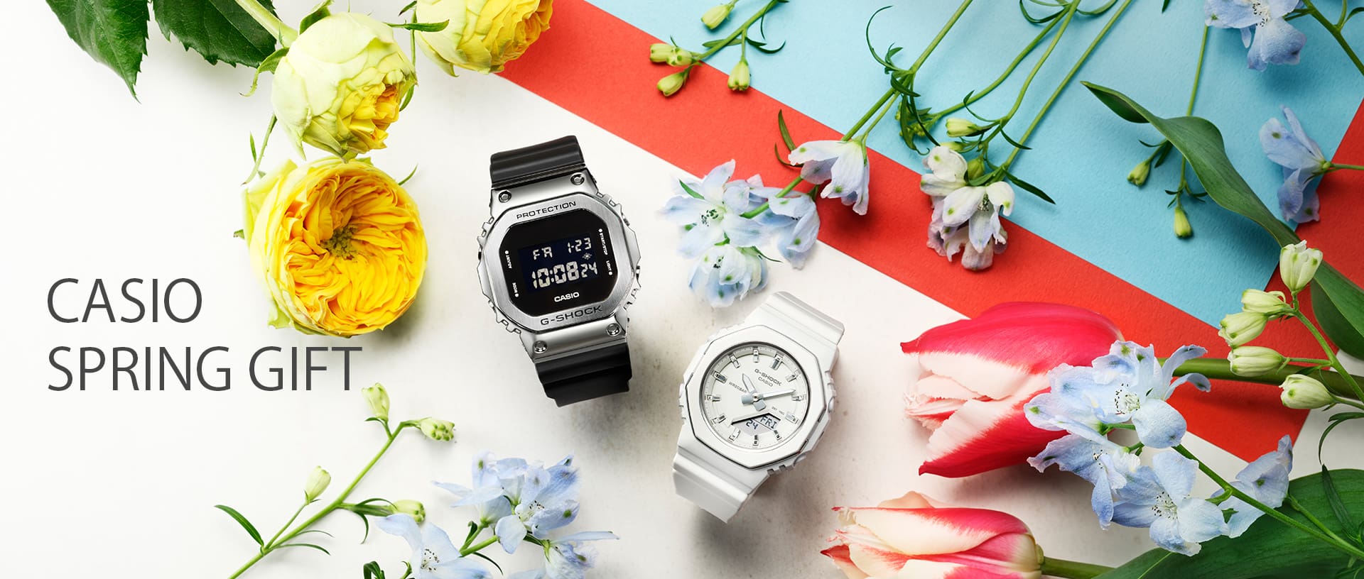SpringGift | CASIO