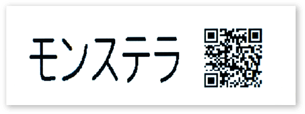 サンプル画像
