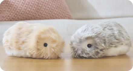 Moflin キャンペーン | CASIO
