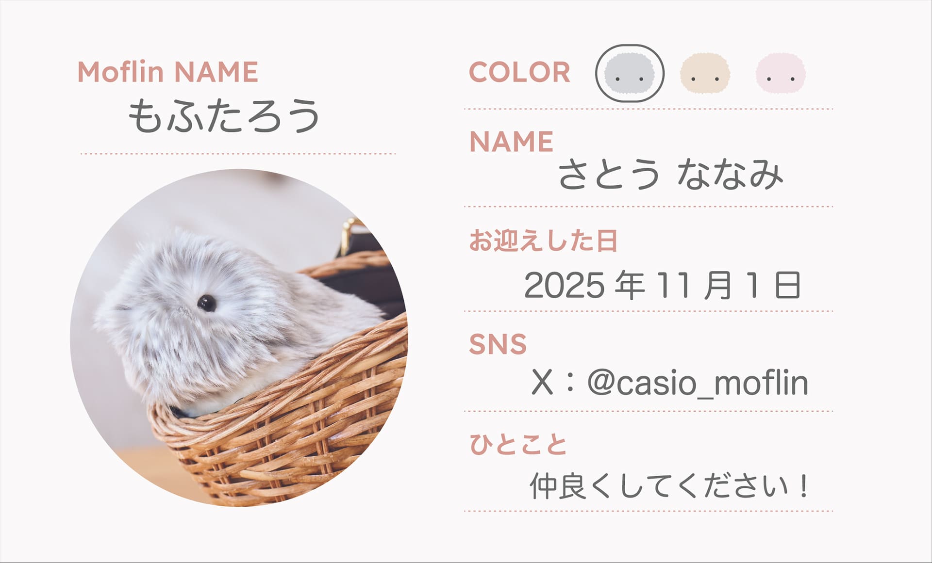 名刺ダウンロード　サムネイル