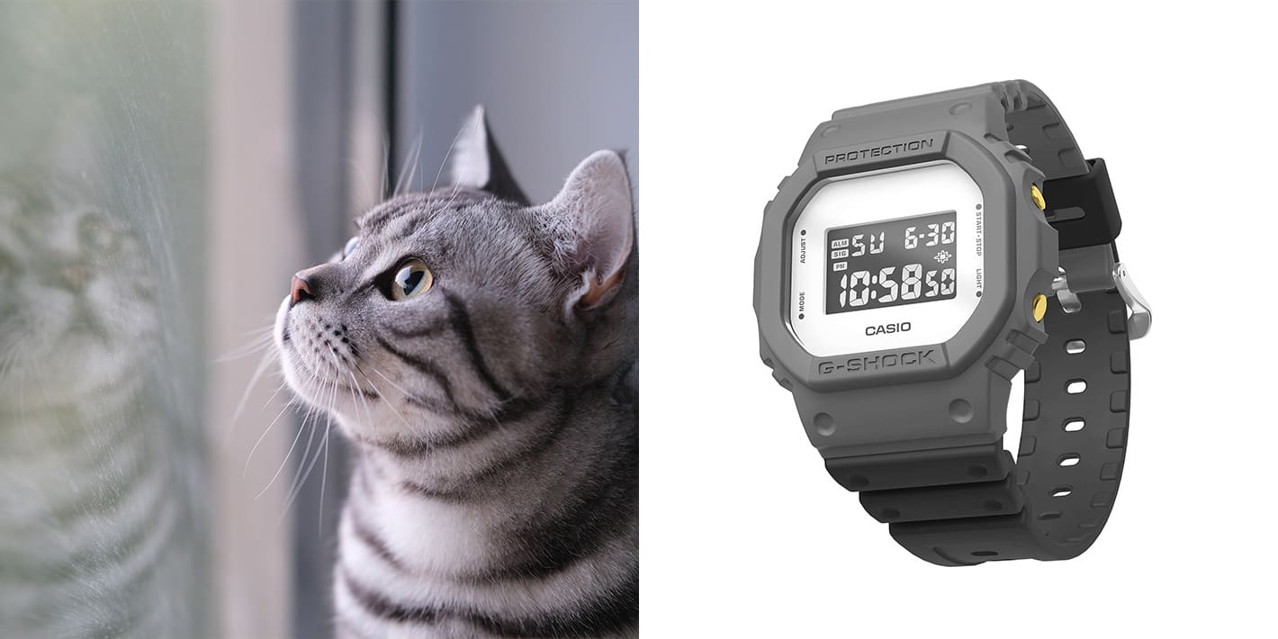 MY G-SHOCK アメリカンショートヘア風カスタマイズ