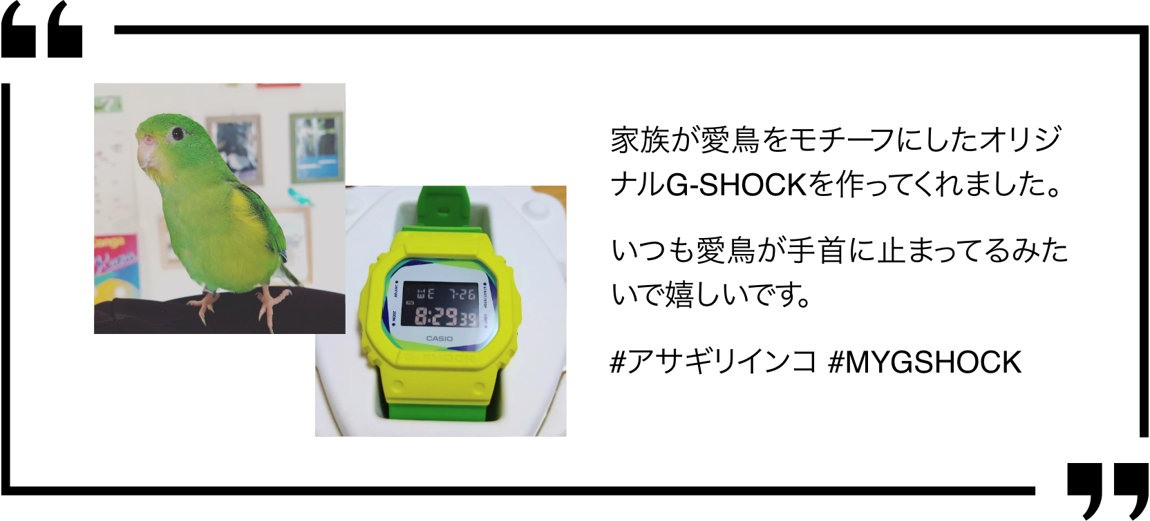 家族が愛鳥をモチーフにしたオリジナルG-SHOCKを作ってくれました。いつも愛鳥が手首に止まってるみたいで嬉しいです。