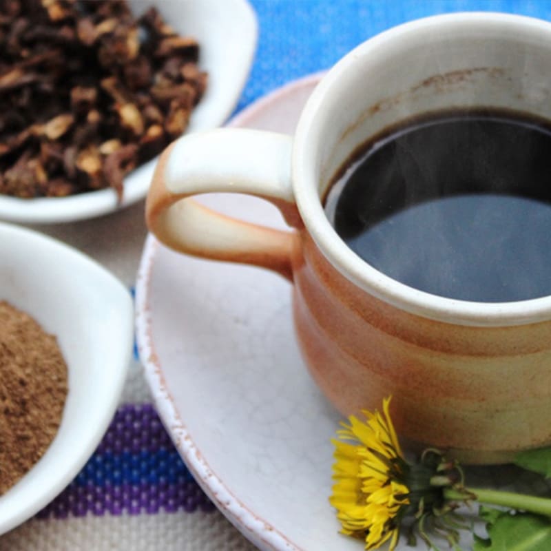 WILD MIND Go！GO！