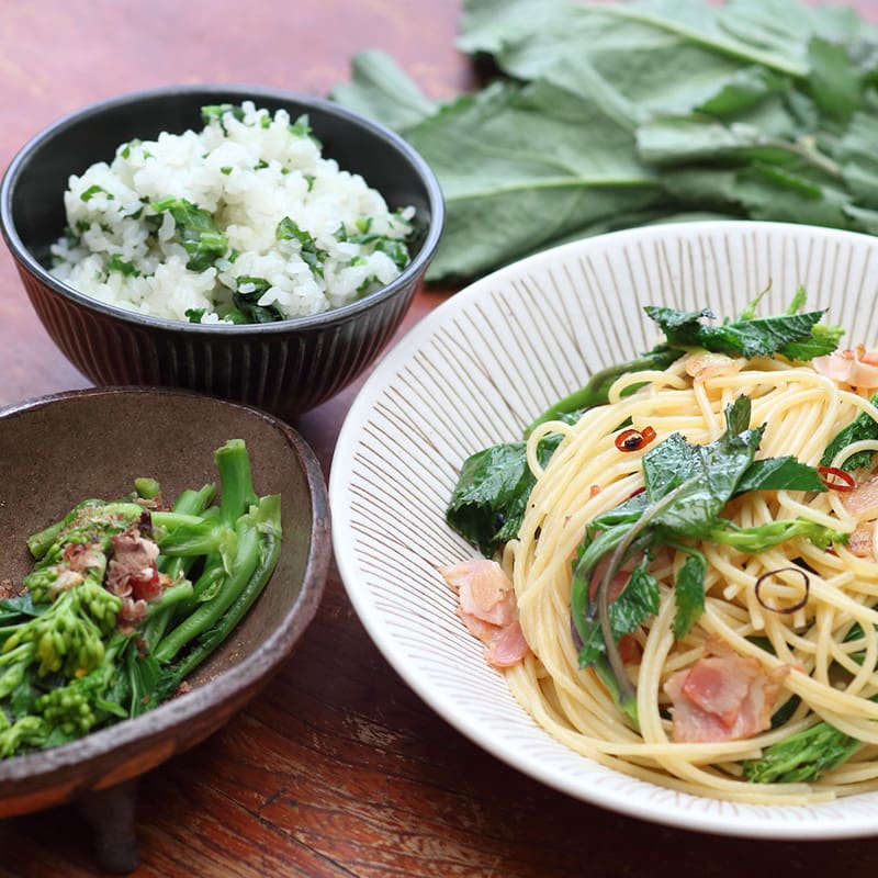 WILD MIND Go！GO！