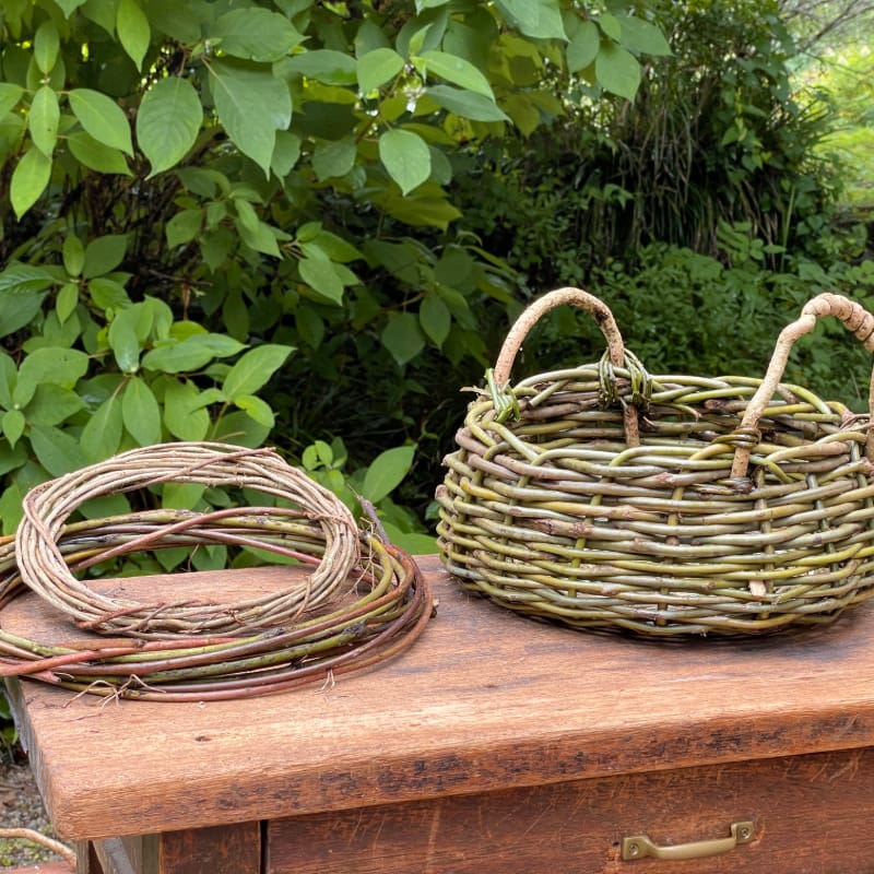 WILD MIND Go！GO！