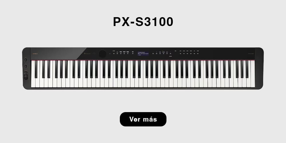 PX-S3100