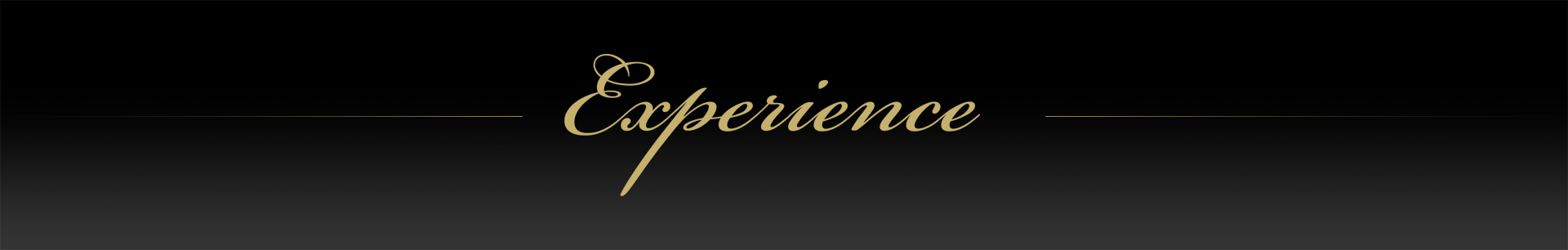 EXPERIENCIA