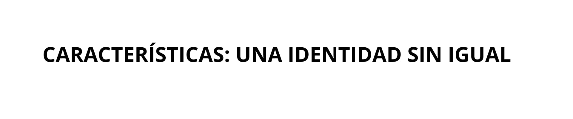 CINTILLO 1920X400 - 3