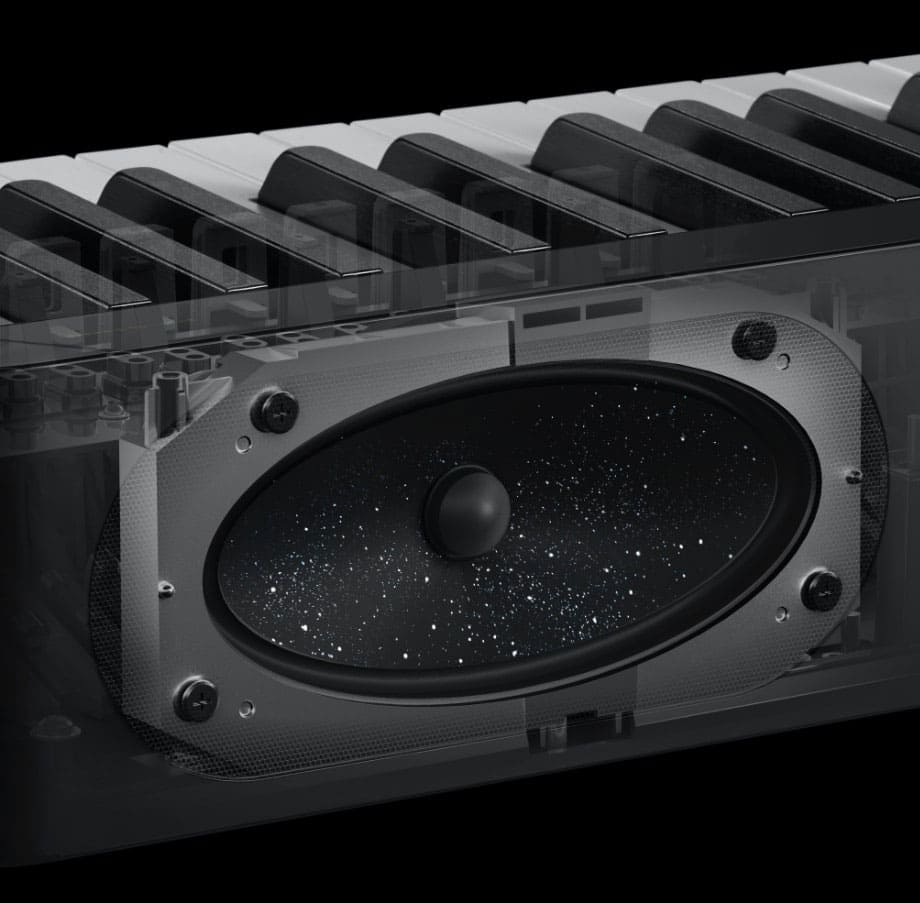 Weergave van het luidsprekermembraan