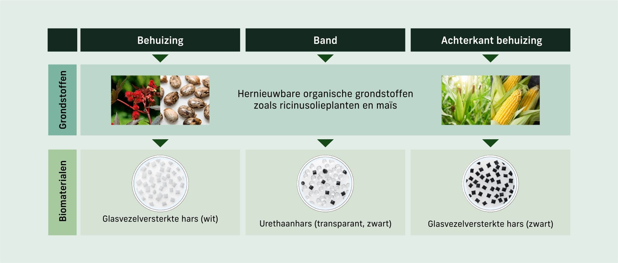 Ruwe illustratie van hoe de biomaterialen urethaan en glasvezelversterkte hars voor de kast en band van een horloge worden geproduceerd uit de grondstoffen maïs en castorbonen.