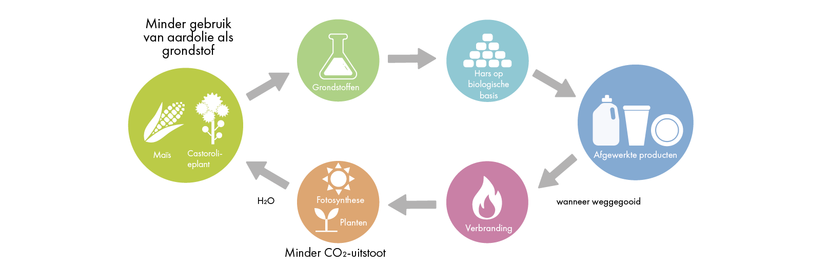 Illustratie van de cyclus van biohars, van de grondstoffen maïs en castorbonen, via de afgewerkte producten tot de verwijdering en hergroei van nieuwe grondstoffen.