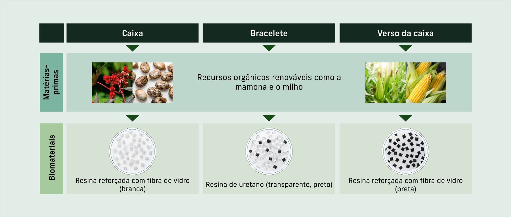 Ilustração grosseira de como os biomateriais uretano e resina reforçada com fibra de vidro para a caixa e bracelete de um relógio são produzidos a partir das matérias-primas milho e mamona.